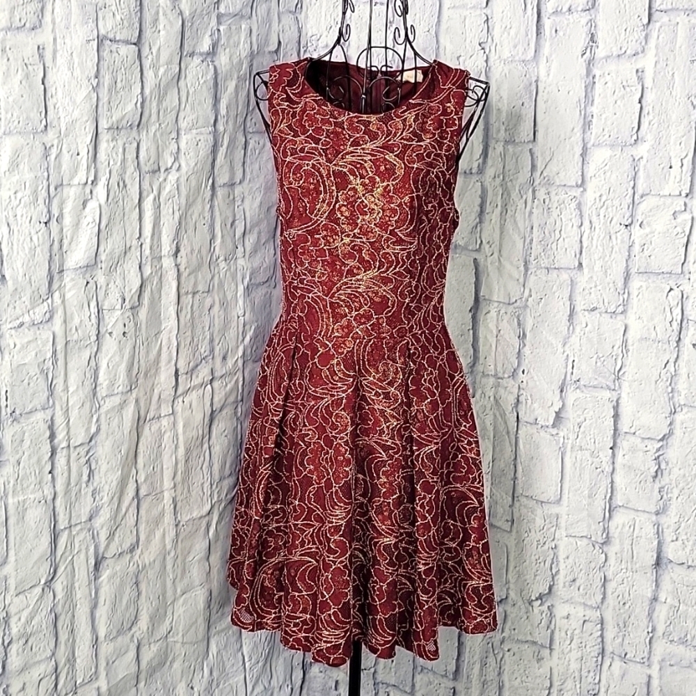 ALTAR'D STATE Red Lacey Gold Metallic Floral Sleeveless Dress Medium
